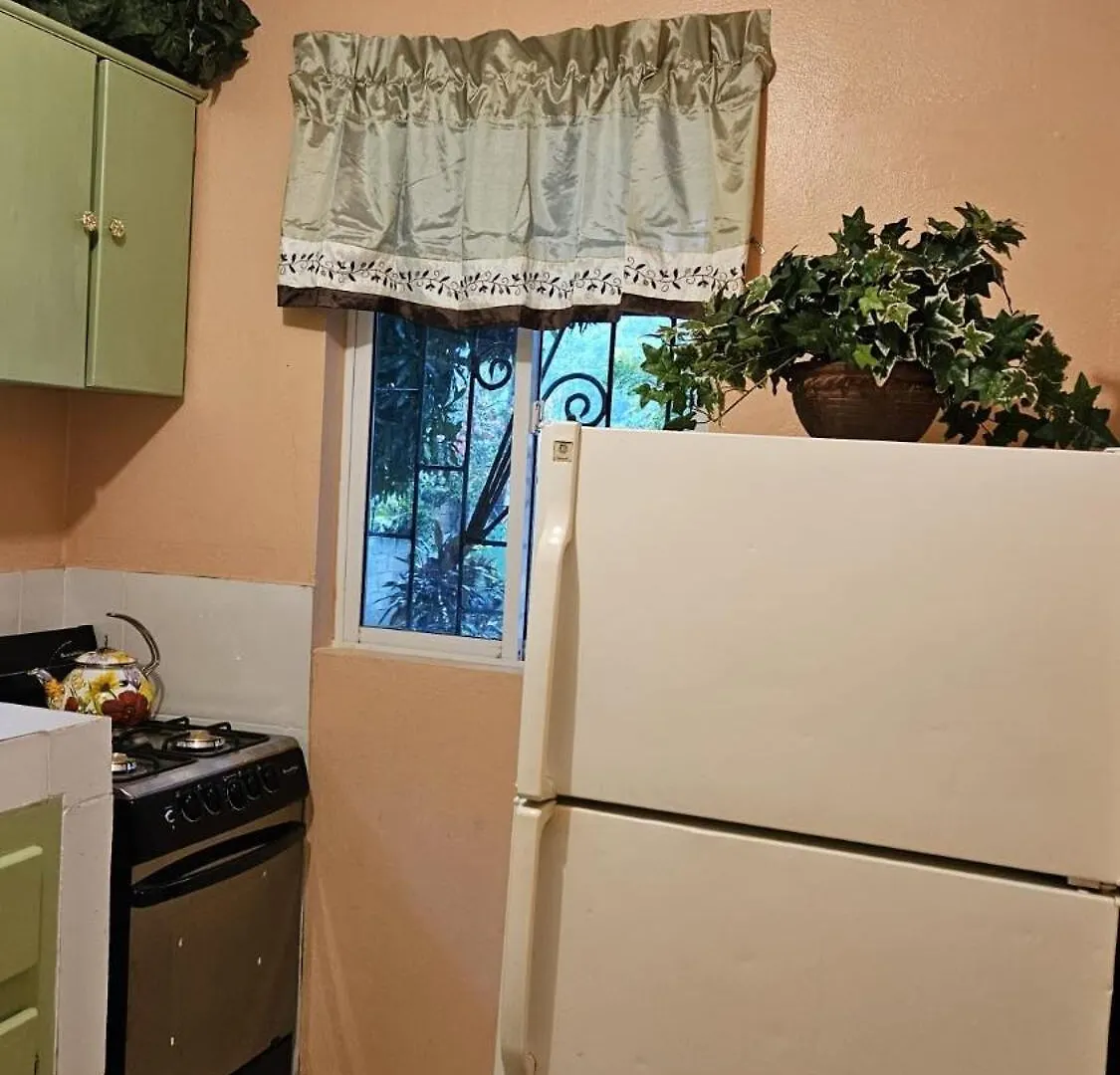 Apartamento Jade Coast Getaway Near Montego Bay 0*,  Jamaica