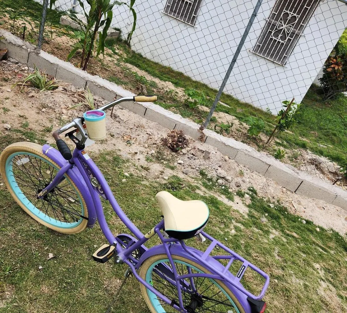 Apartamento Jade Coast Getaway Near Montego Bay